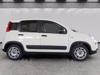 FIAT Panda van 1.0 hybrid street 70cv 4p.ti serie 4 e6d