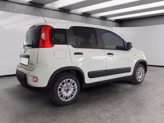 FIAT Panda van 1.0 hybrid street 70cv 4p.ti serie 4 e6d