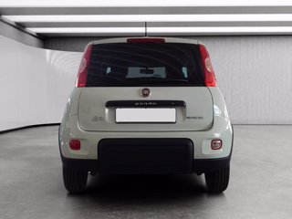 FIAT Panda van 1.0 hybrid street 70cv 4p.ti serie 4 e6d