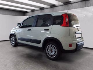 FIAT Panda van 1.0 hybrid street 70cv 4p.ti serie 4 e6d