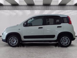 FIAT Panda van 1.0 hybrid street 70cv 4p.ti serie 4 e6d