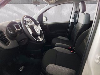 FIAT Panda van 1.0 hybrid street 70cv 4p.ti serie 4 e6d