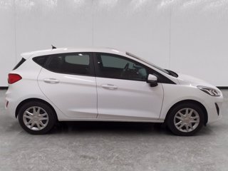 FORD Fiesta 5p 1.1 plus 85cv my19