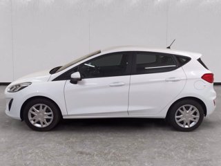 FORD Fiesta 5p 1.1 plus 85cv my19