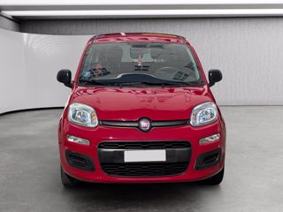 FIAT Panda 1.2 easy 69cv
