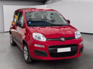 FIAT Panda 1.2 easy 69cv