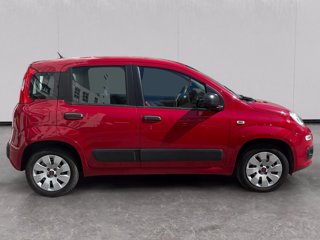 FIAT Panda 1.2 easy 69cv