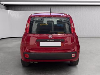 FIAT Panda 1.2 easy 69cv